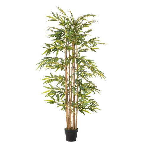  LORA BAMBU AĞACI 180 CM