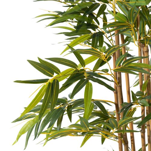  LORA BAMBU AĞACI 180 CM