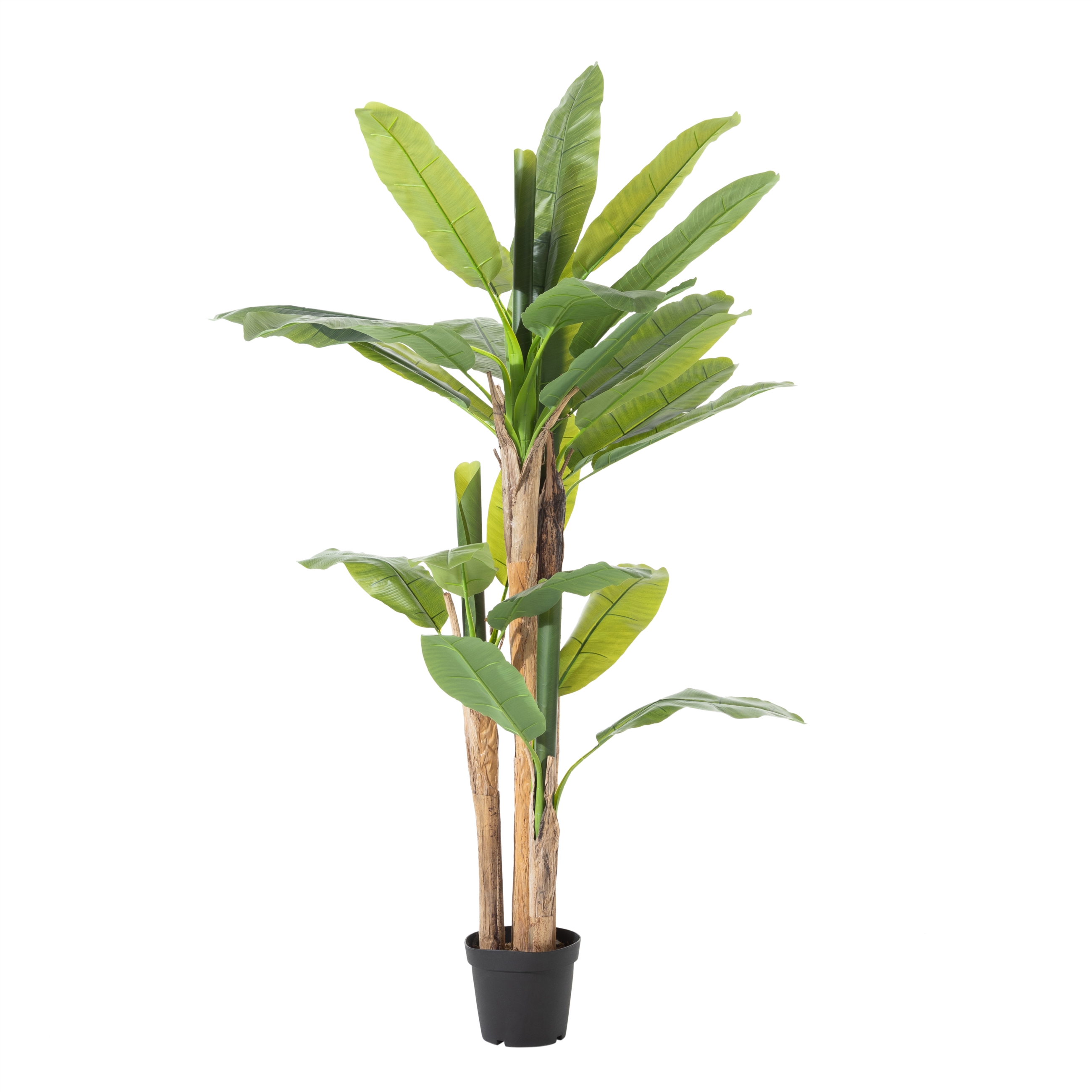 MAIA MUZ AĞACI 190 CM