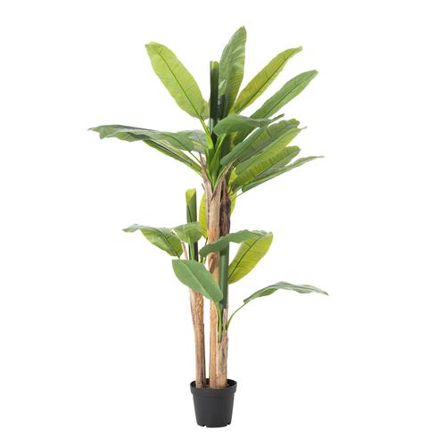  MAIA MUZ AĞACI 190 CM