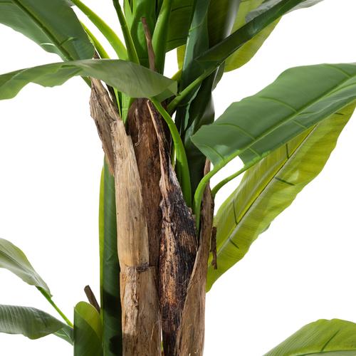  MAIA MUZ AĞACI 190 CM