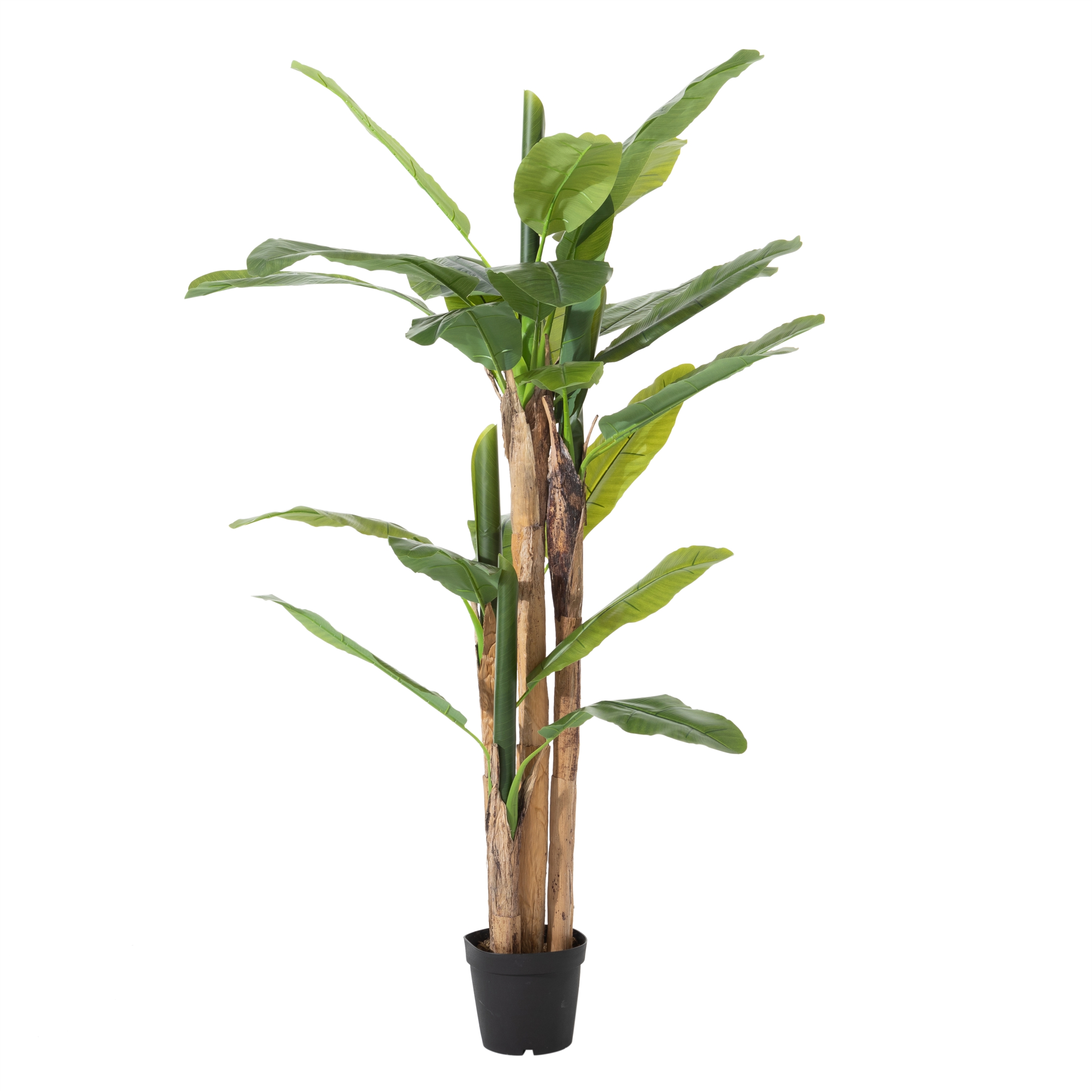 MAIA MUZ AĞACI 190 CM