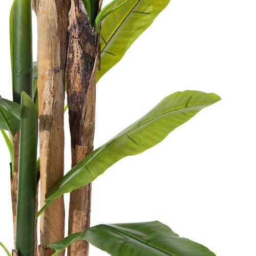  MAIA MUZ AĞACI 190 CM