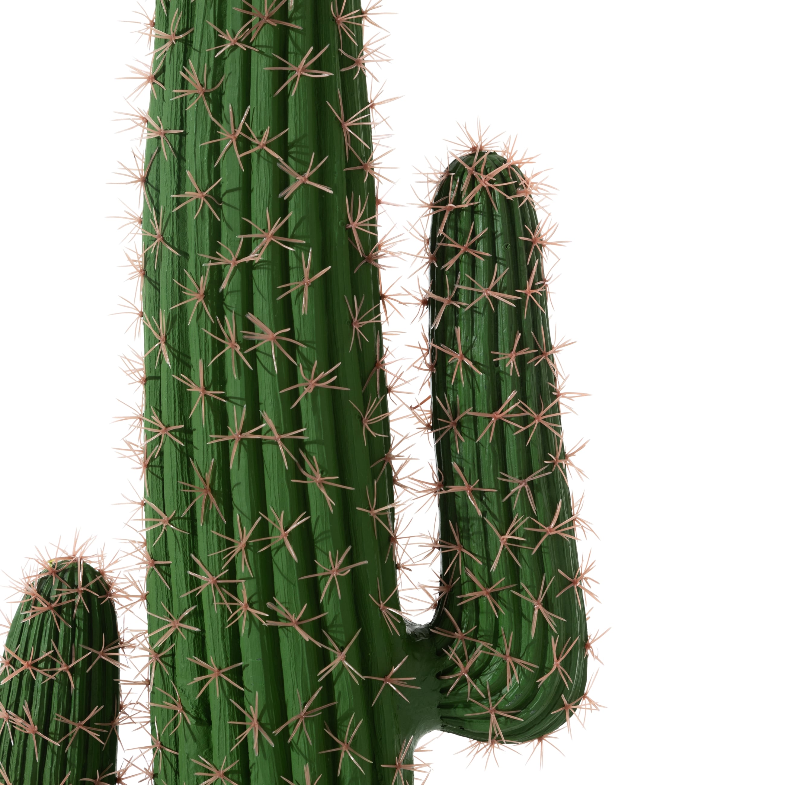 EUPHORBIA KAKTÜS AĞACI 170 CM