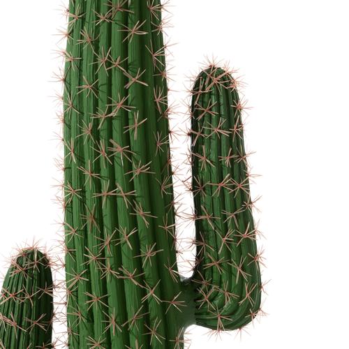  EUPHORBIA KAKTÜS AĞACI 170 CM