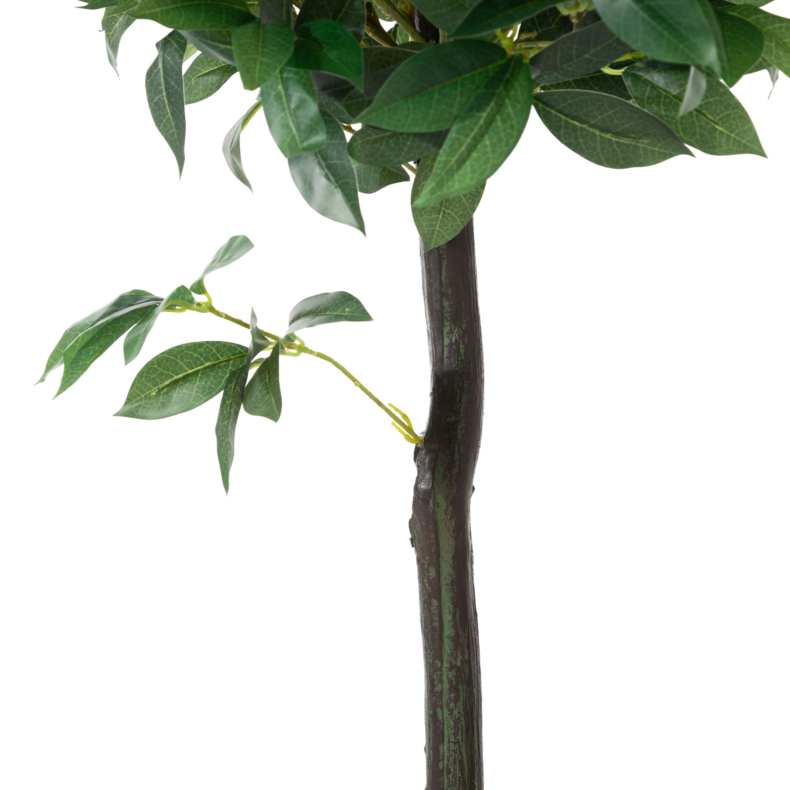 REGINA DEFNE AĞACI 150 CM