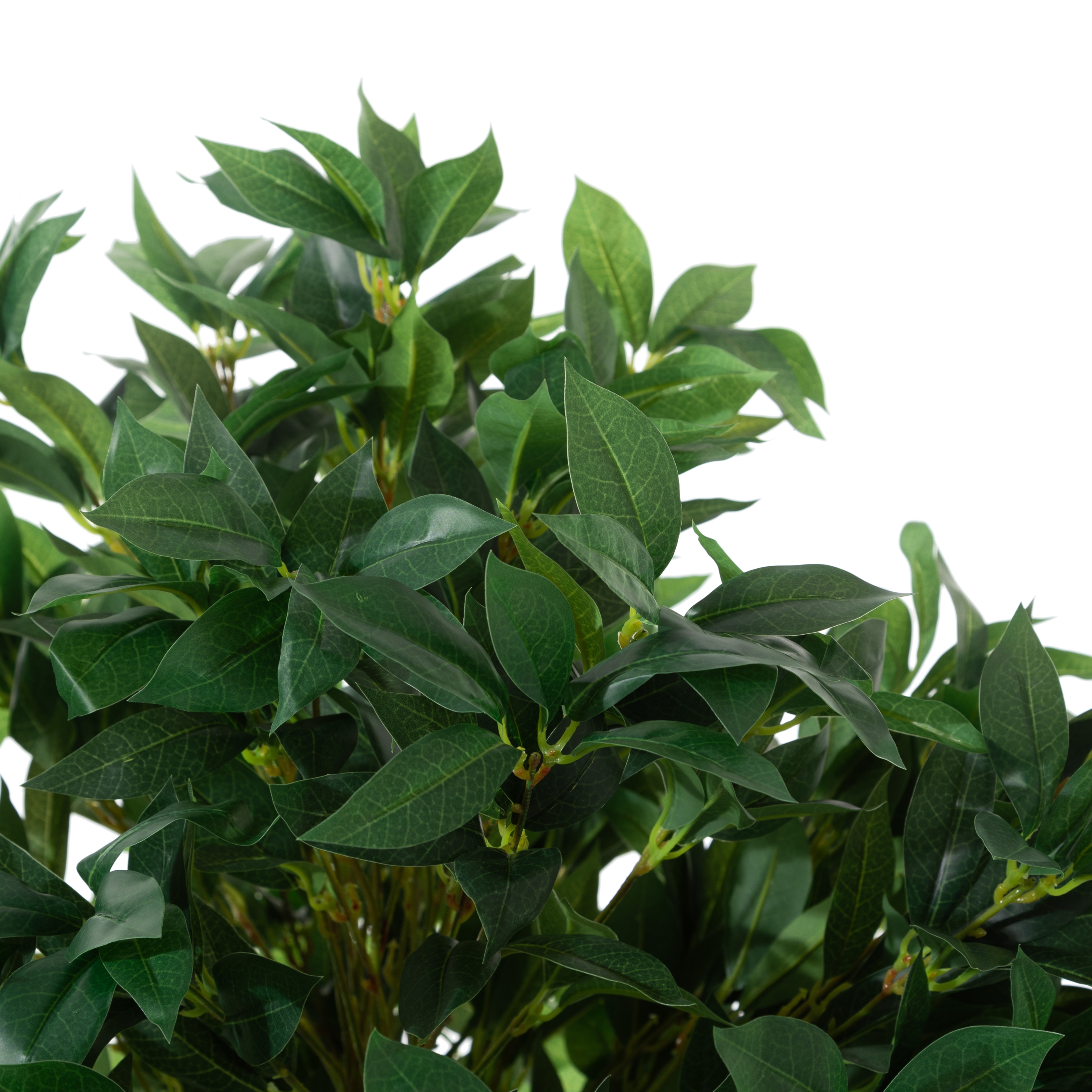 REGINA DEFNE AĞACI 150 CM