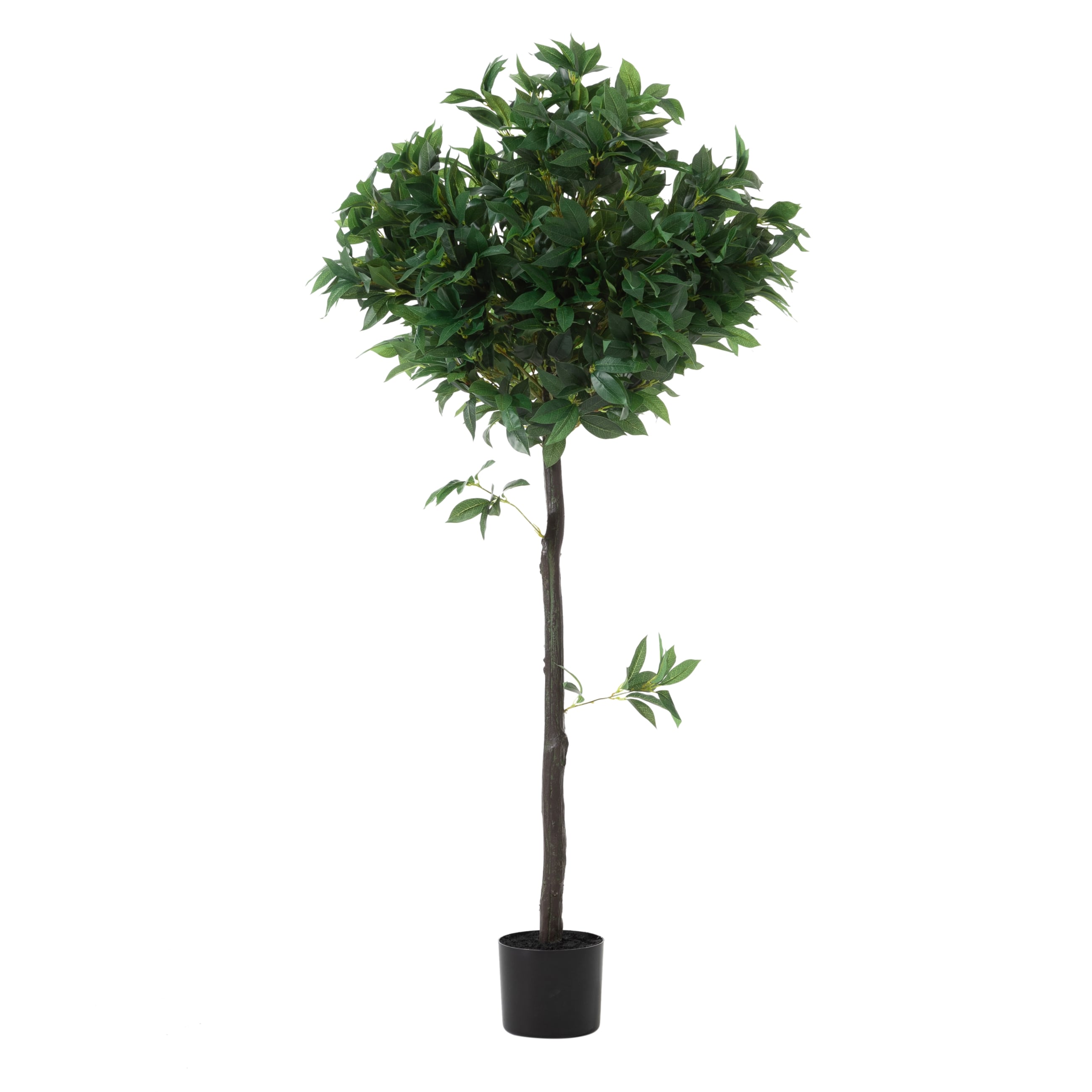 REGINA DEFNE AĞACI 150 CM