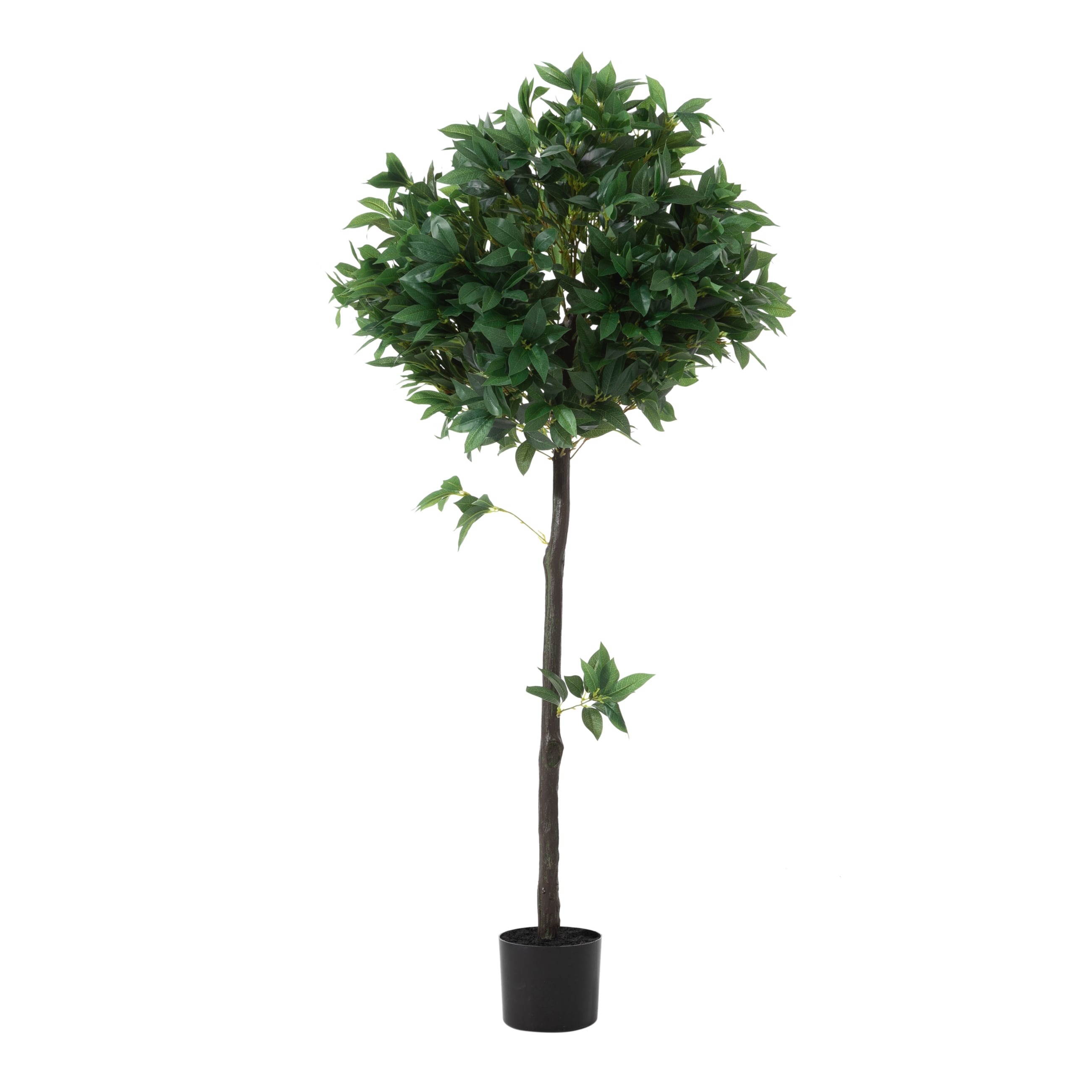 REGINA DEFNE AĞACI 150 CM