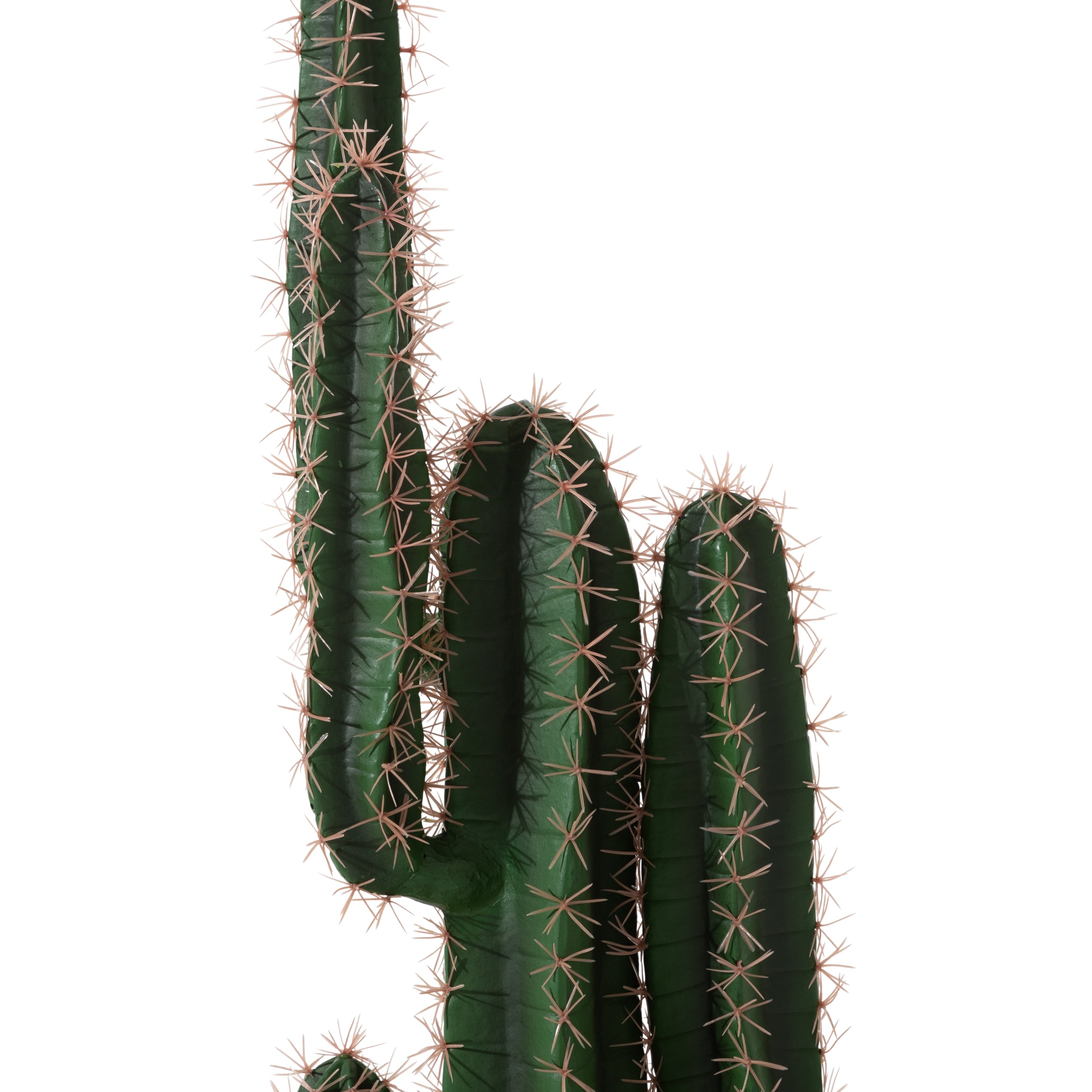 EUPHORBIA KAKTÜS AĞACI 125 CM