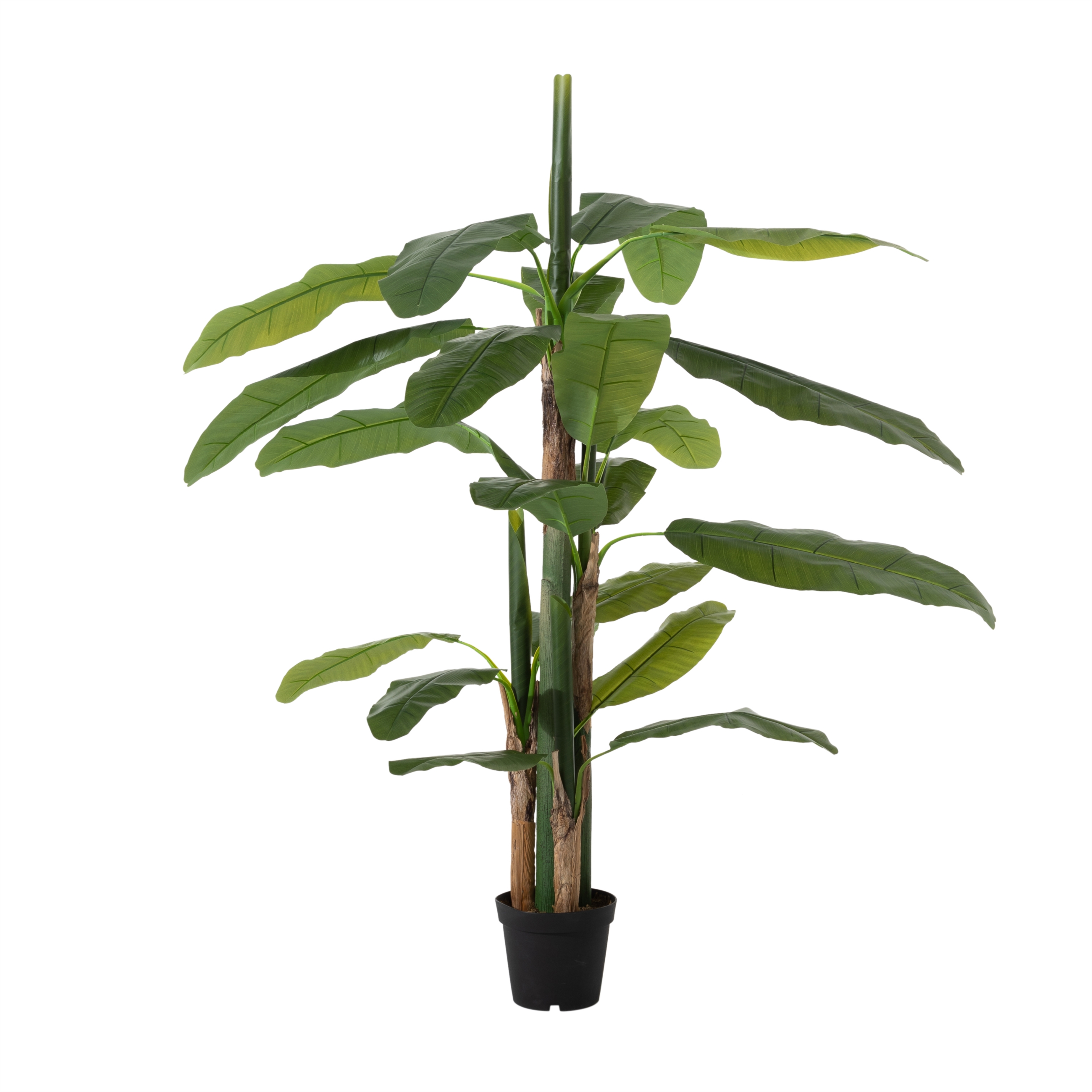 MAIA MUZ AĞACI 210 CM