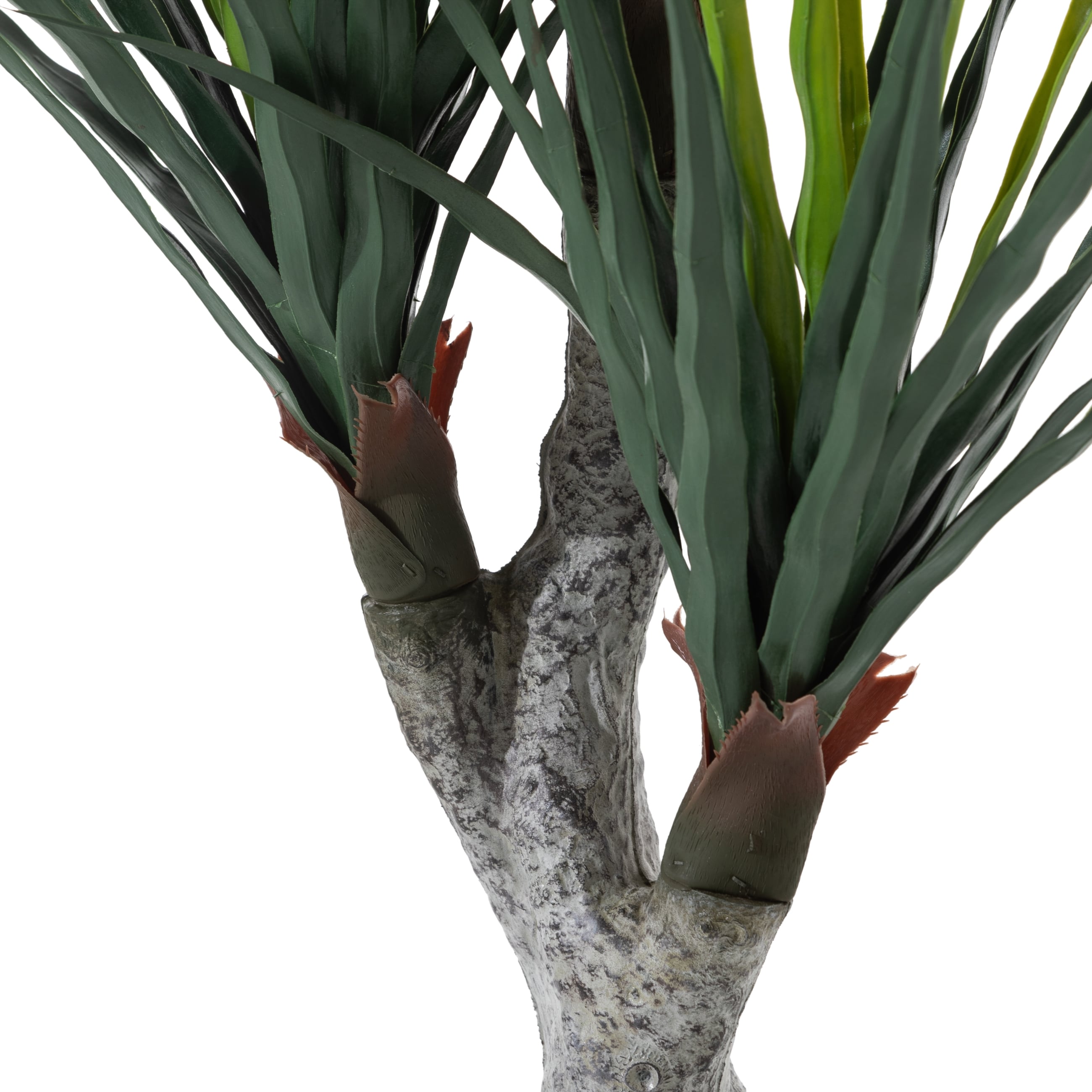 PHOENIX YUKA AĞACI 120 CM