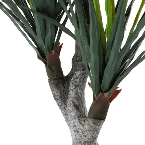  PHOENIX YUKA AĞACI 120 CM