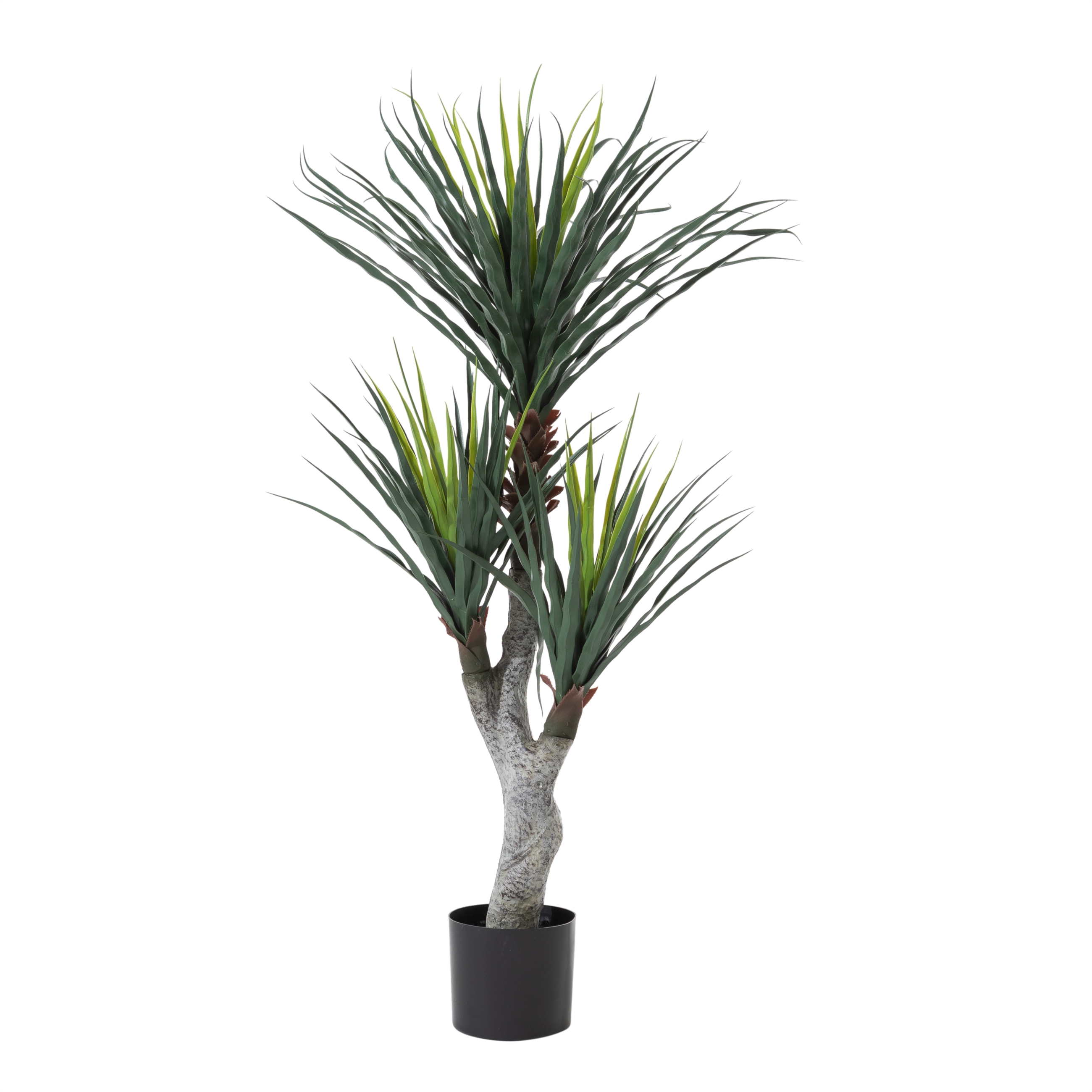 PHOENIX YUKA AĞACI 120 CM