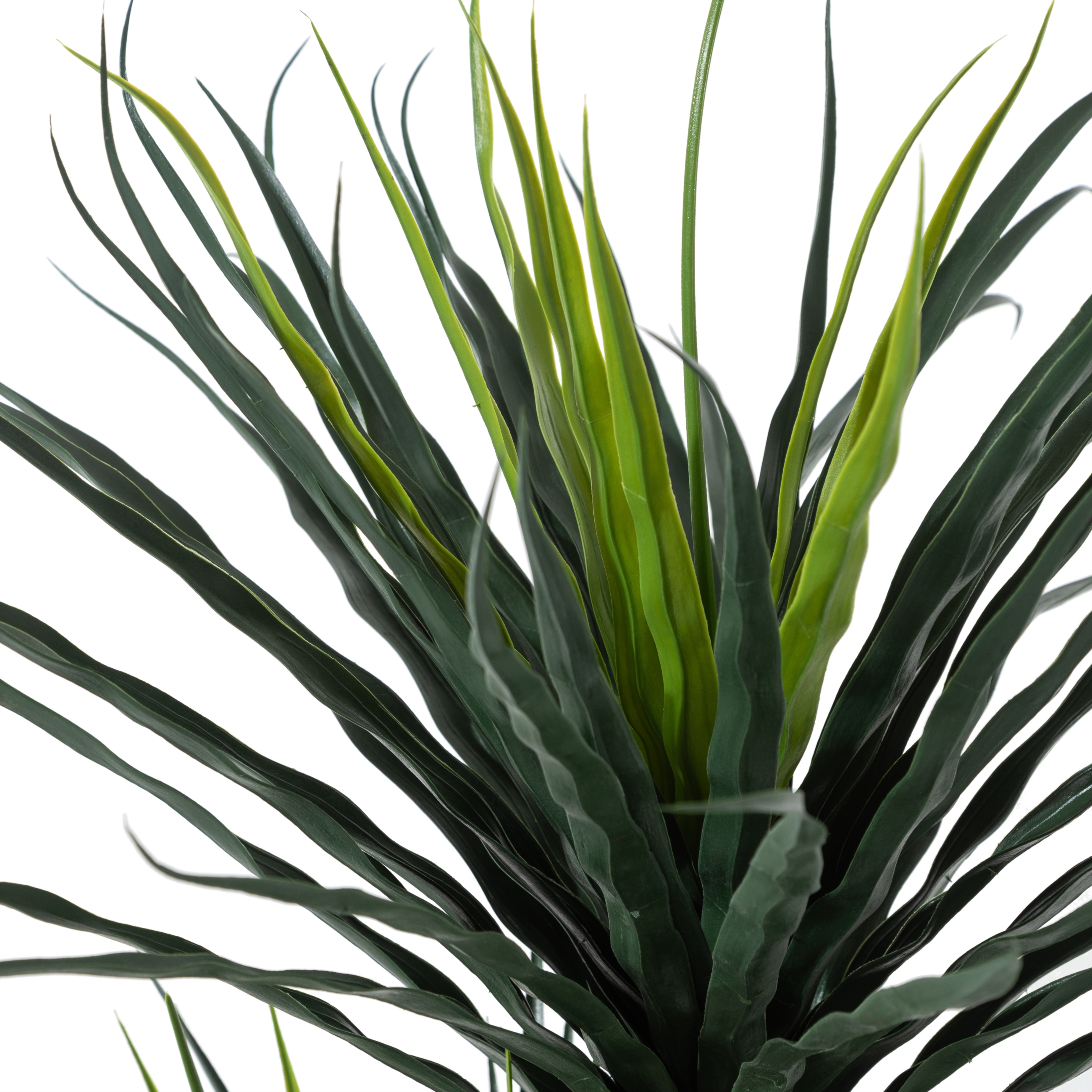 PHOENIX YUKA AĞACI 120 CM