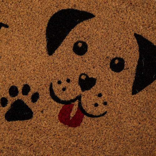  I HOPE YOU LIKE DOGS KAPI PASPASI 40X60