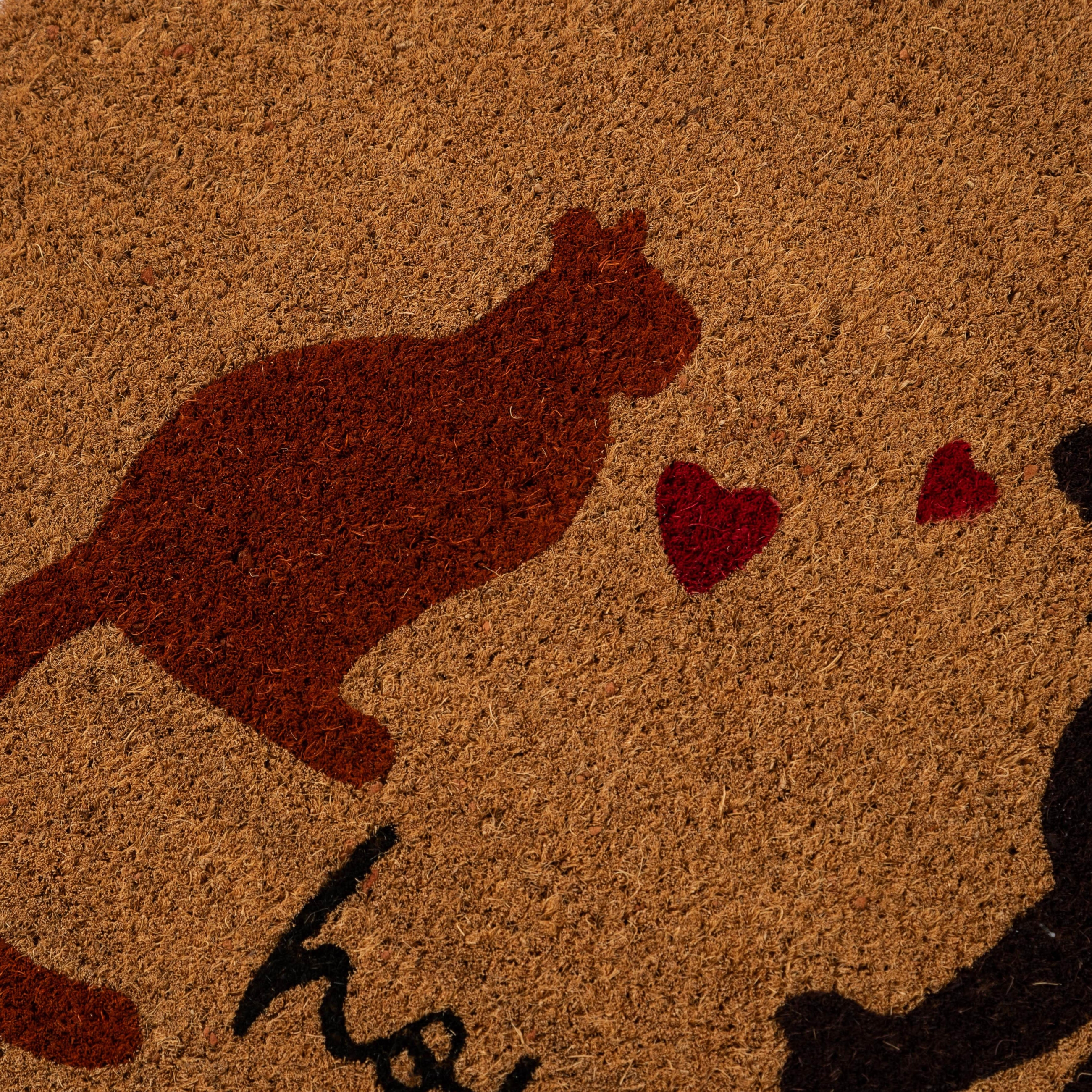 CAT AND DOG KAPI PASPASI 40X60