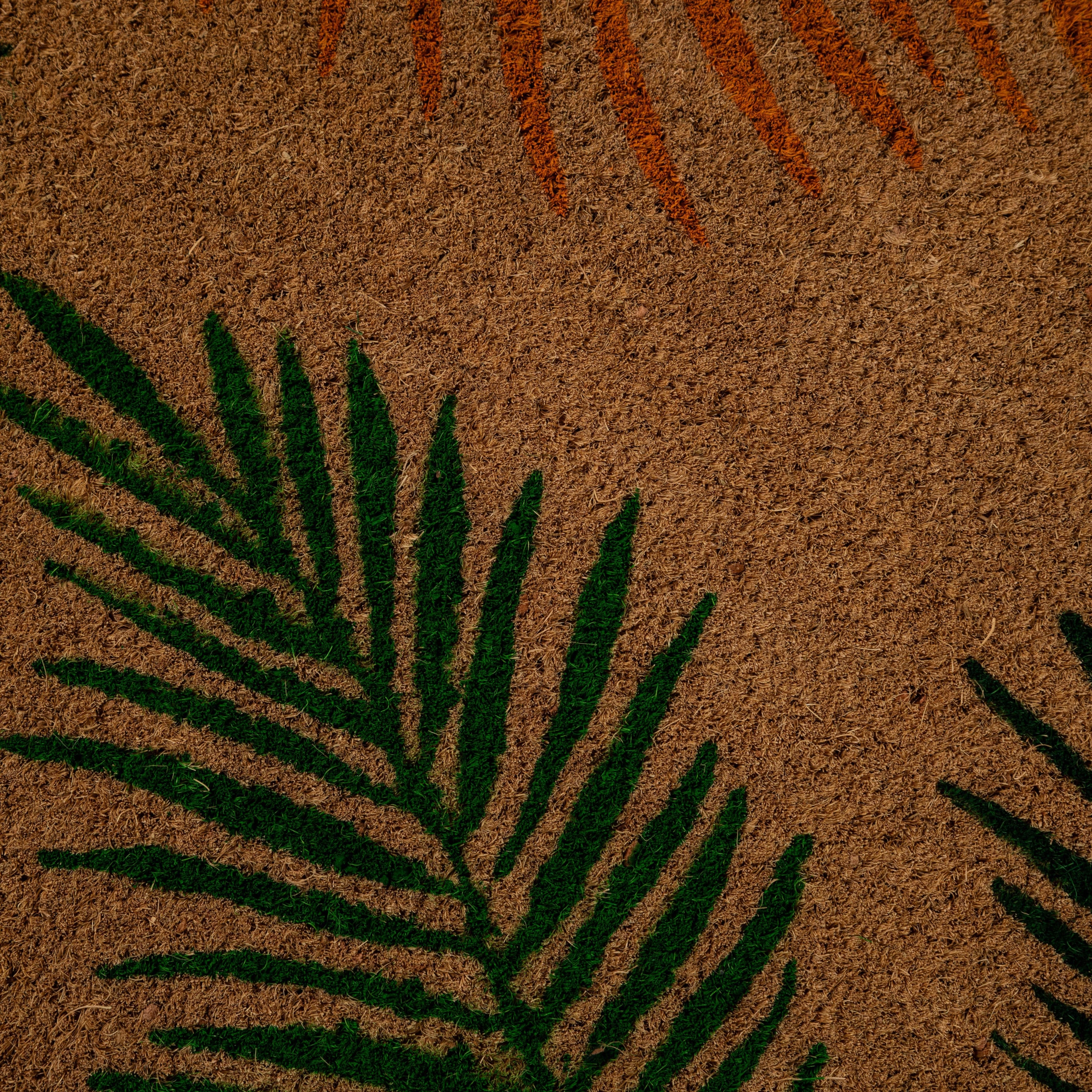 TROPIC KAPI PASPASI 40X60