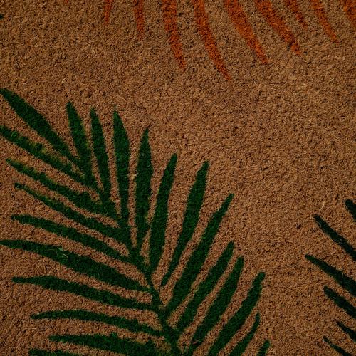  TROPIC KAPI PASPASI 40X60