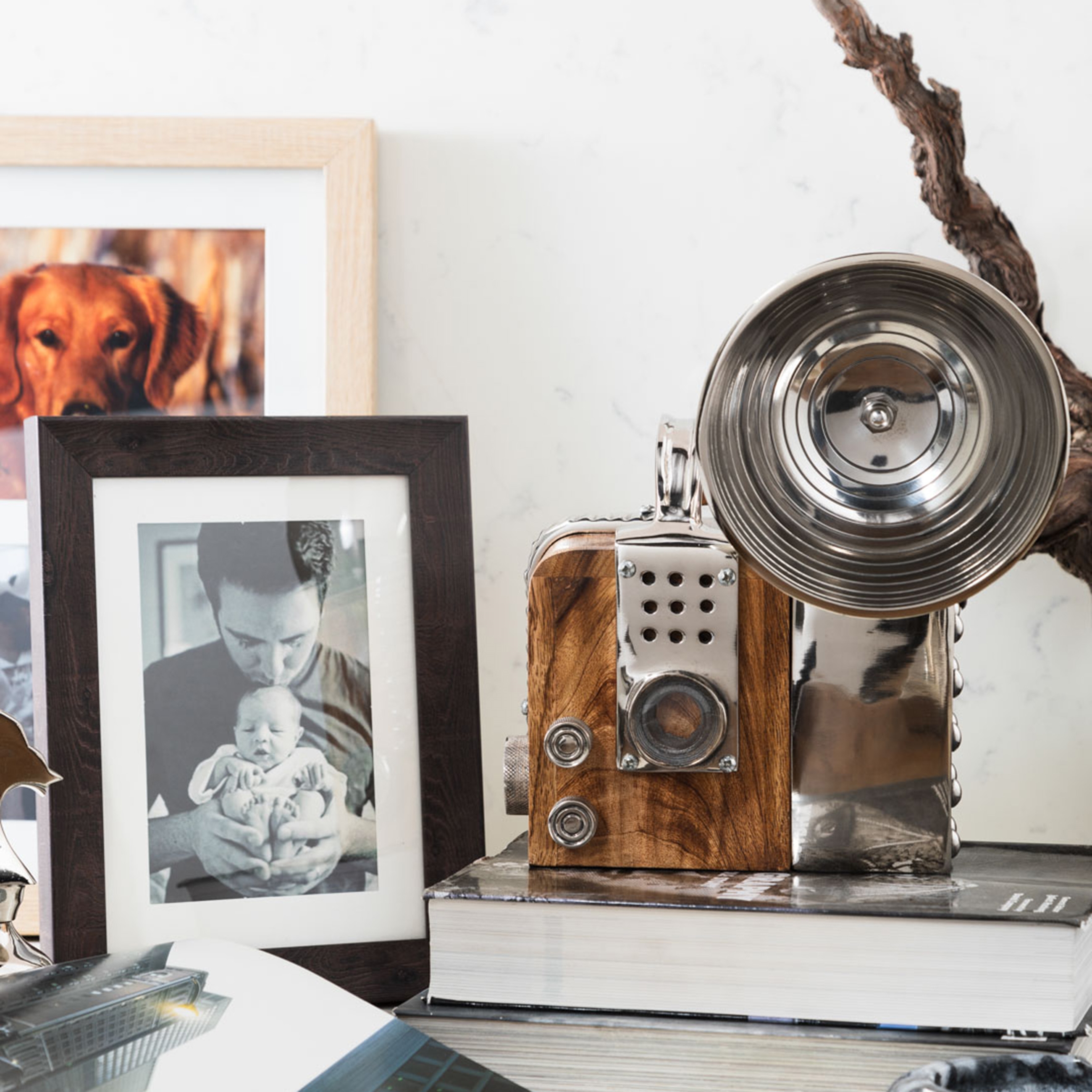 ALASKA CAMERA BİBLO 21X25CM