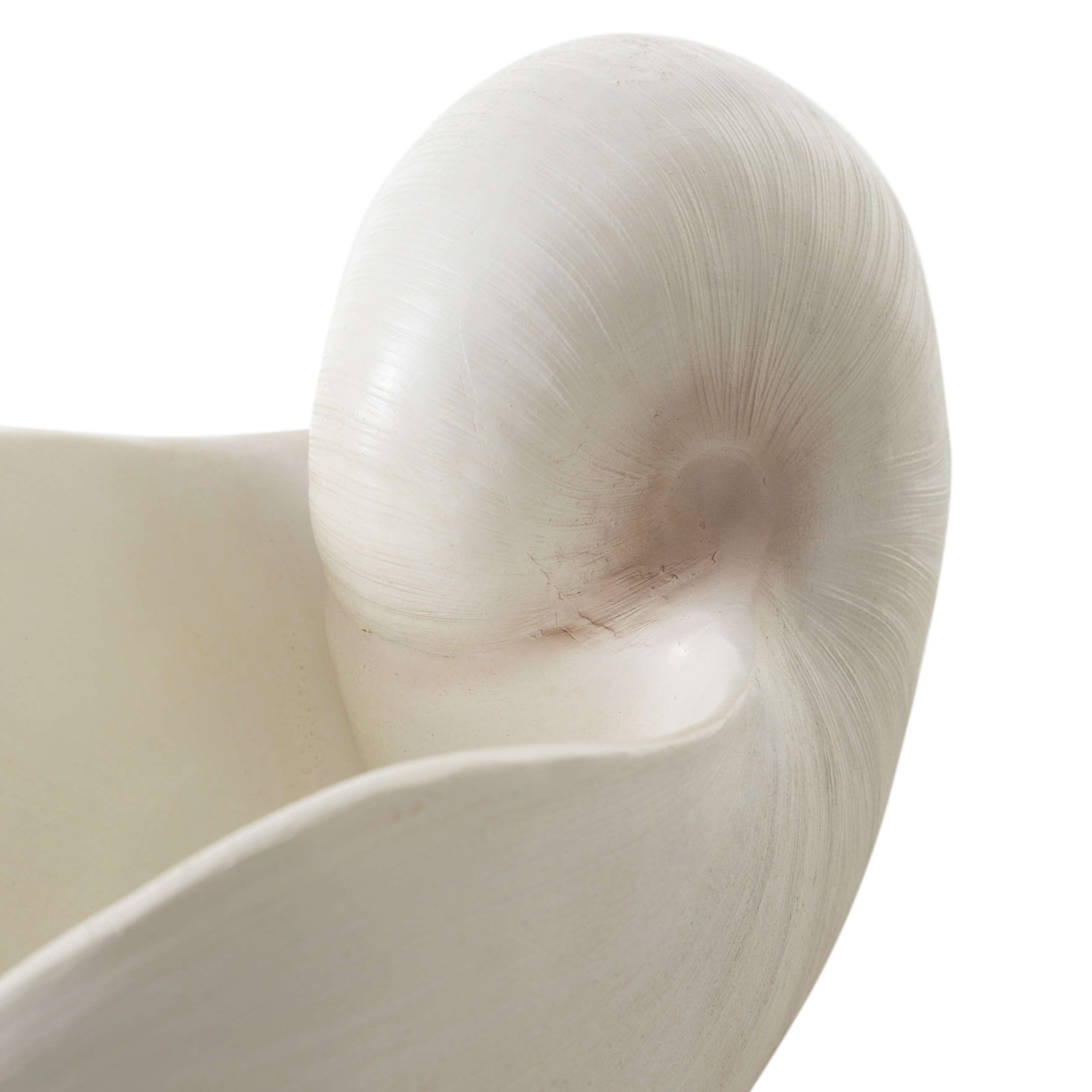 NAUTILUS SHELL VAZO 31X21CM