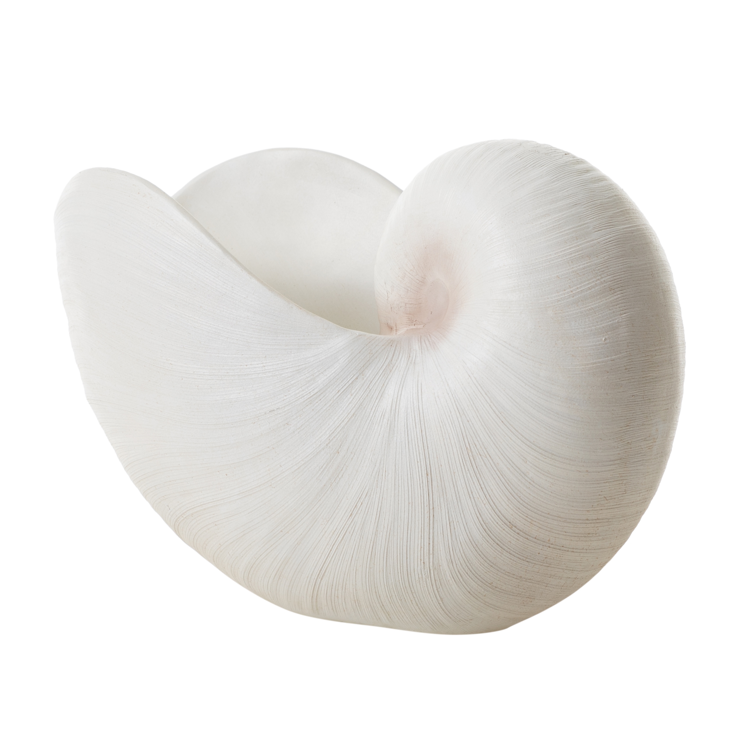 NAUTILUS SHELL VAZO 31X21CM