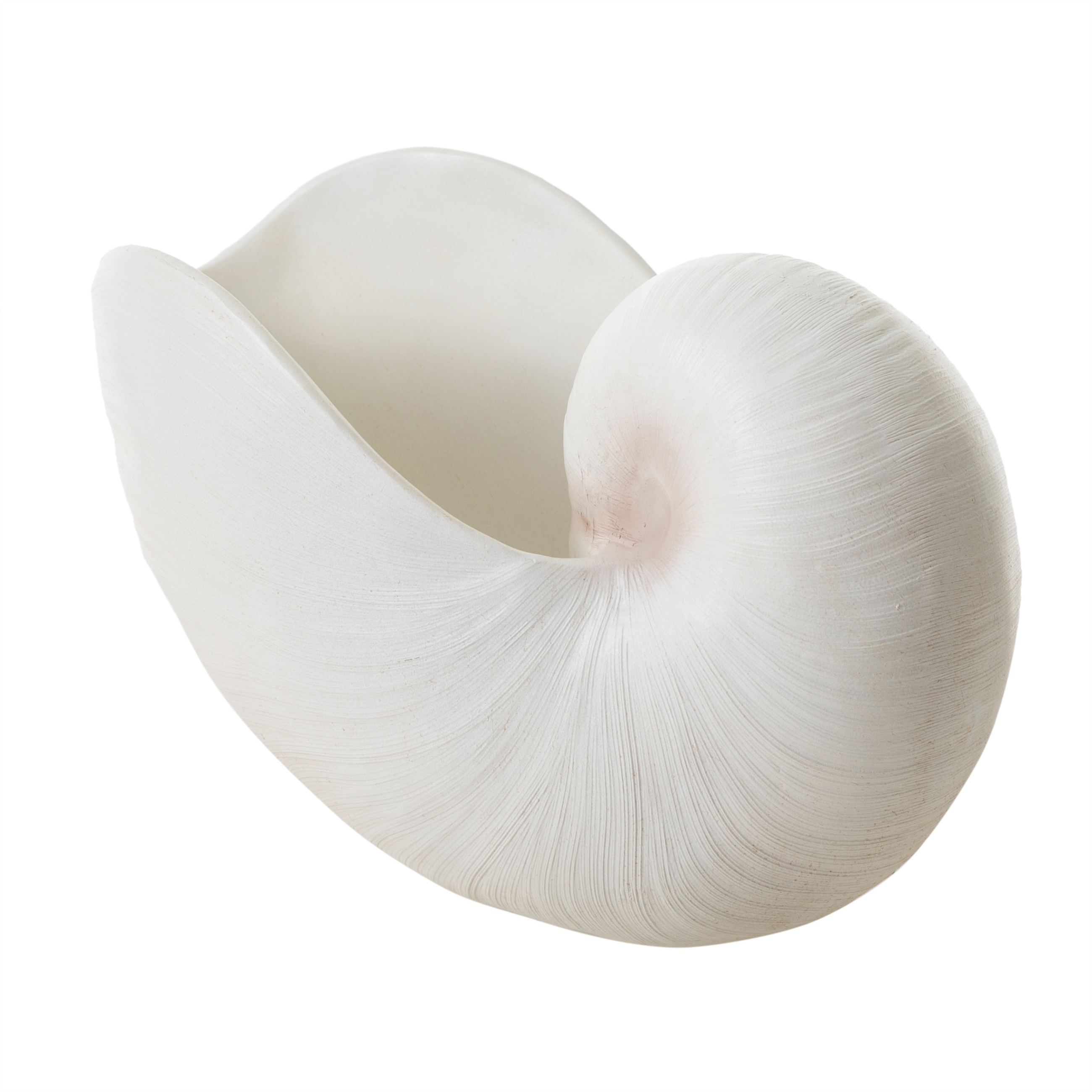 NAUTILUS SHELL VAZO 31X21CM