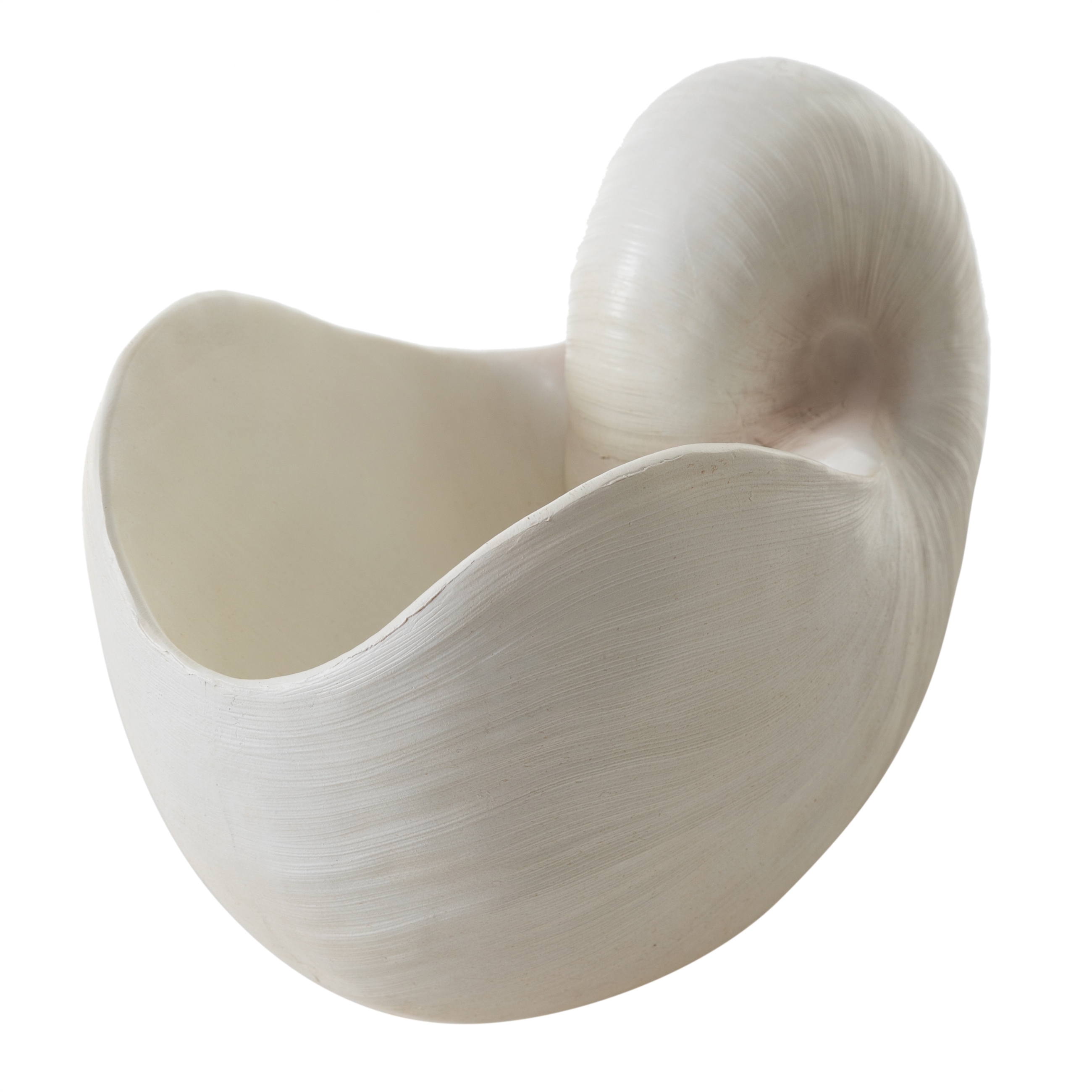 NAUTILUS SHELL VAZO 31X21CM