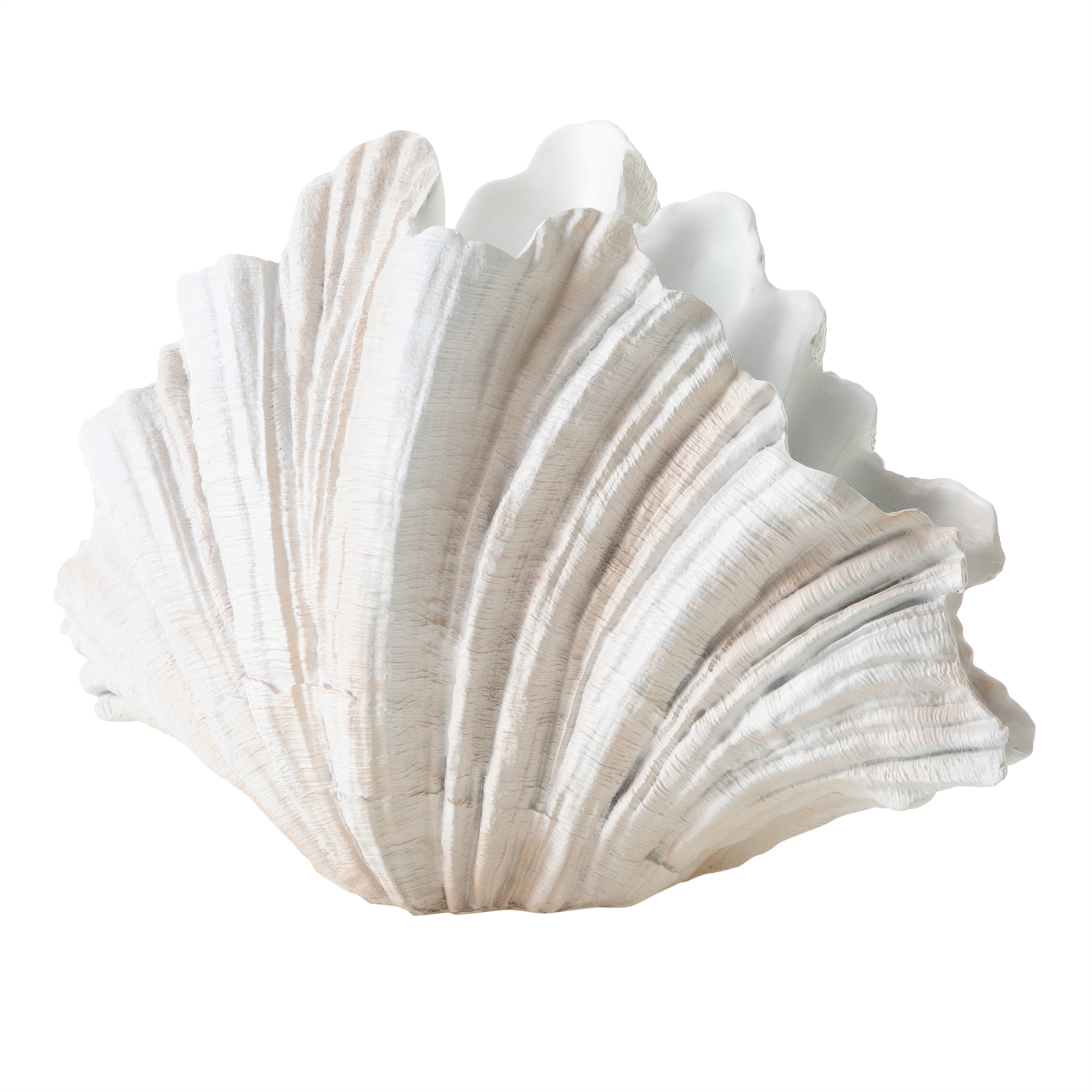 CLAM SHELL VAZO 57X36CM