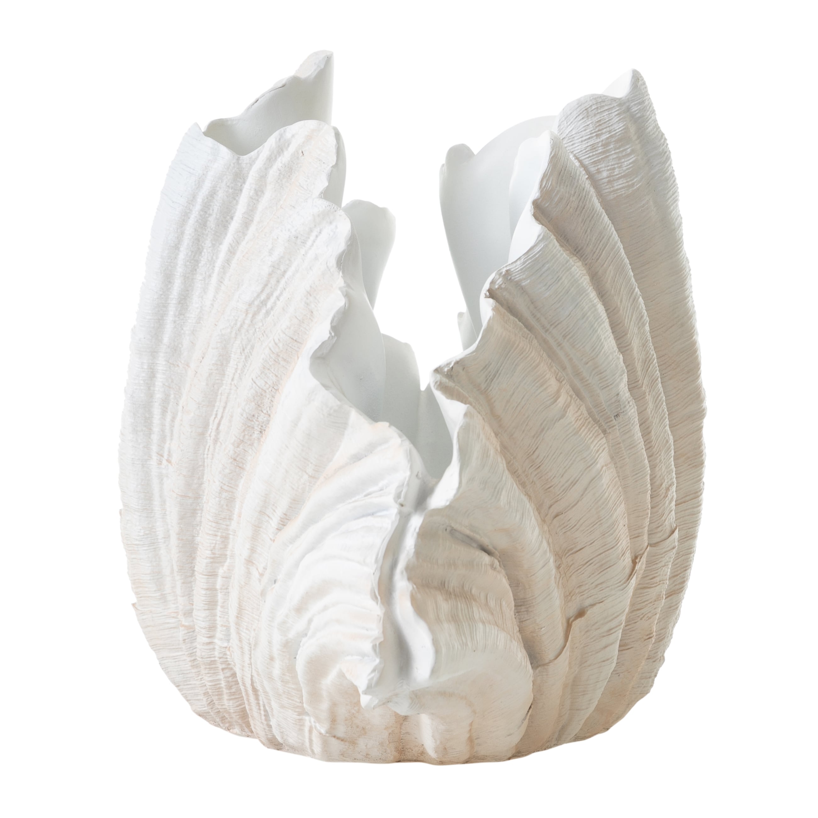 CLAM SHELL VAZO 57X36CM