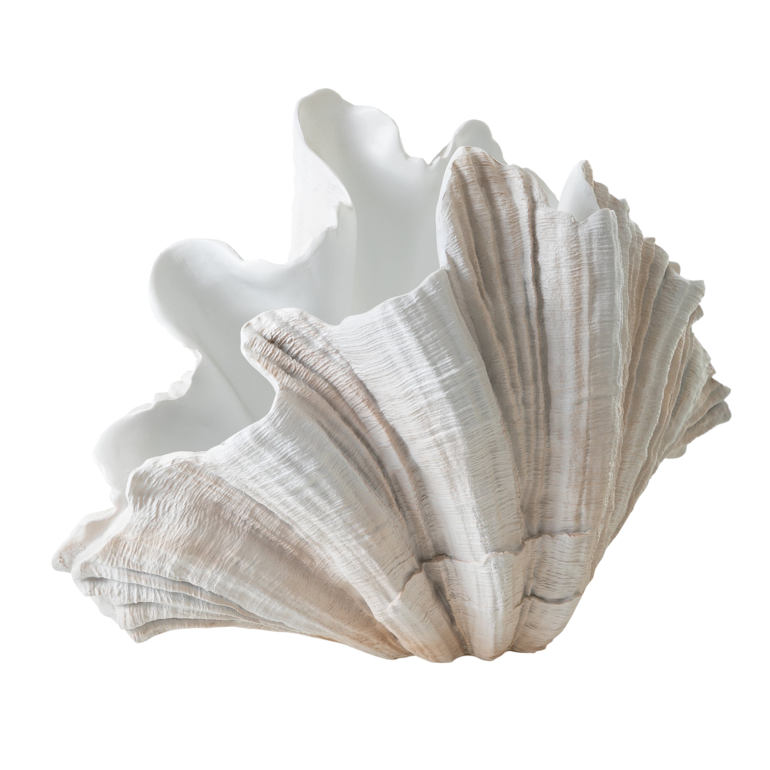 CLAM SHELL VAZO 57X36CM