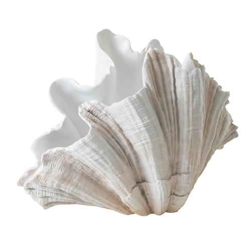  CLAM SHELL VAZO 57X36CM