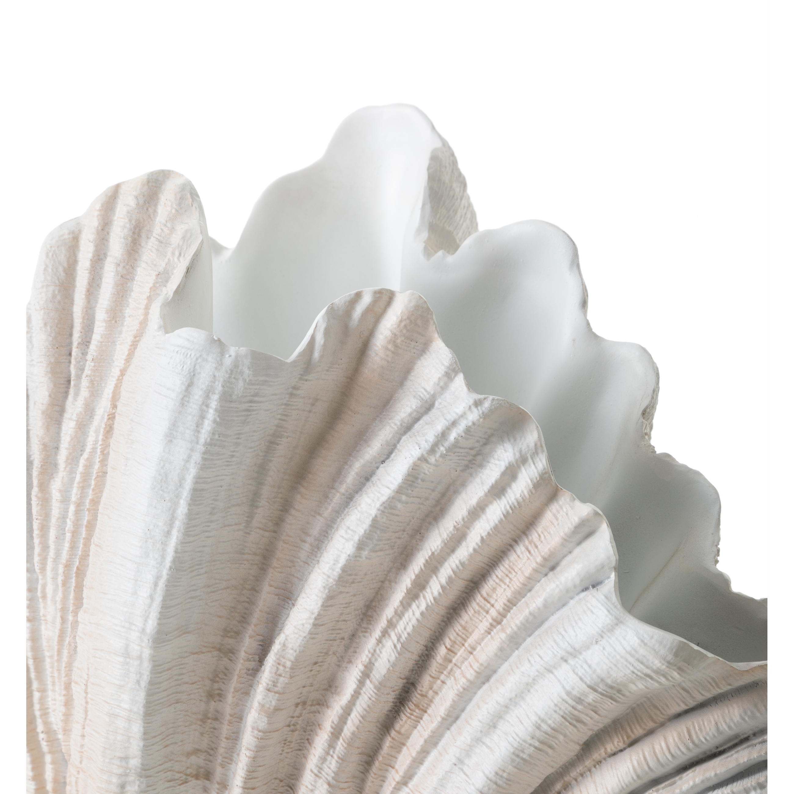 CLAM SHELL VAZO 57X36CM