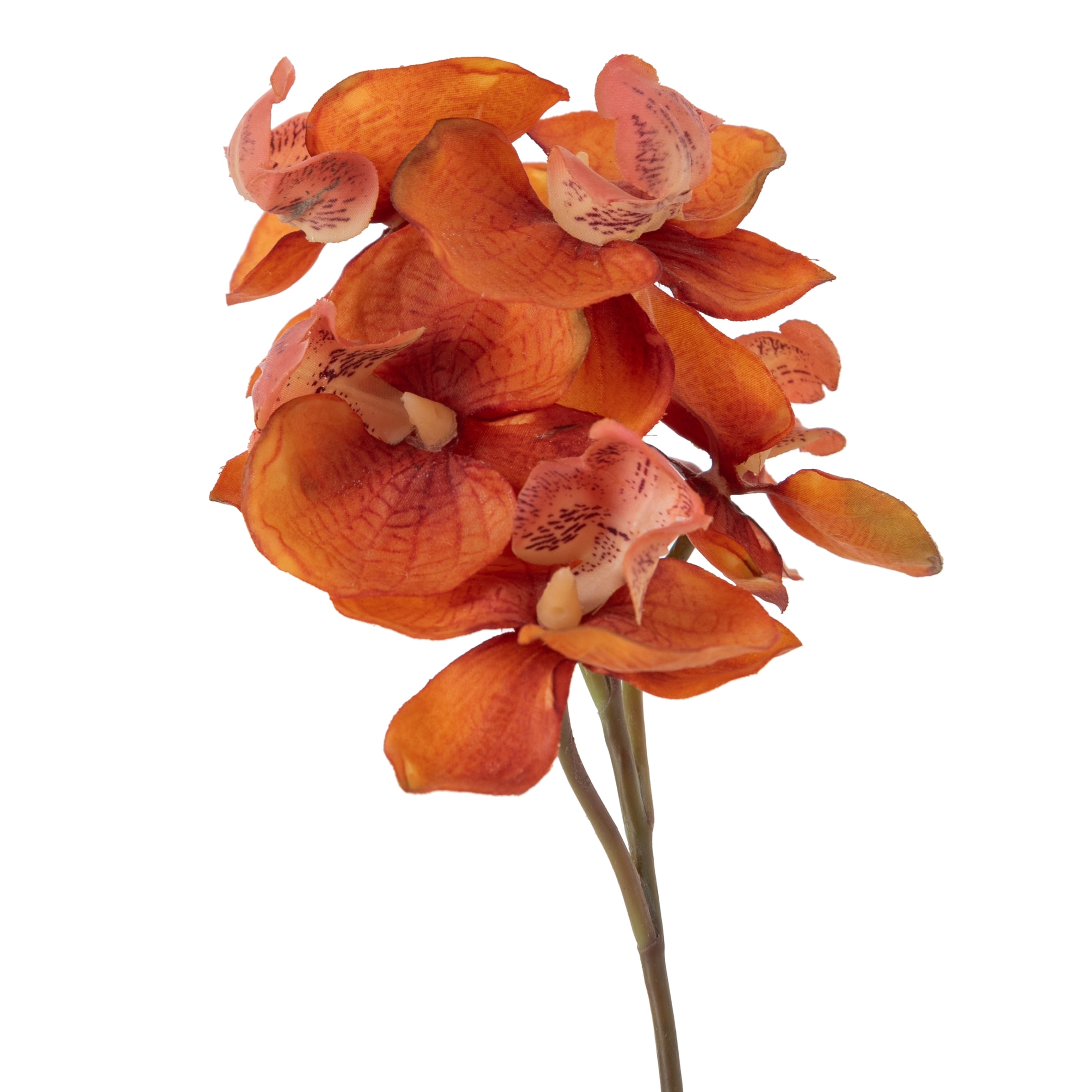 FLORA SAKSILI ORKİDE TURUNCU 41CM