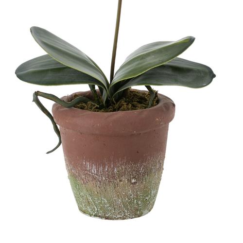  FLORA SAKSILI ORKİDE TURUNCU 41CM