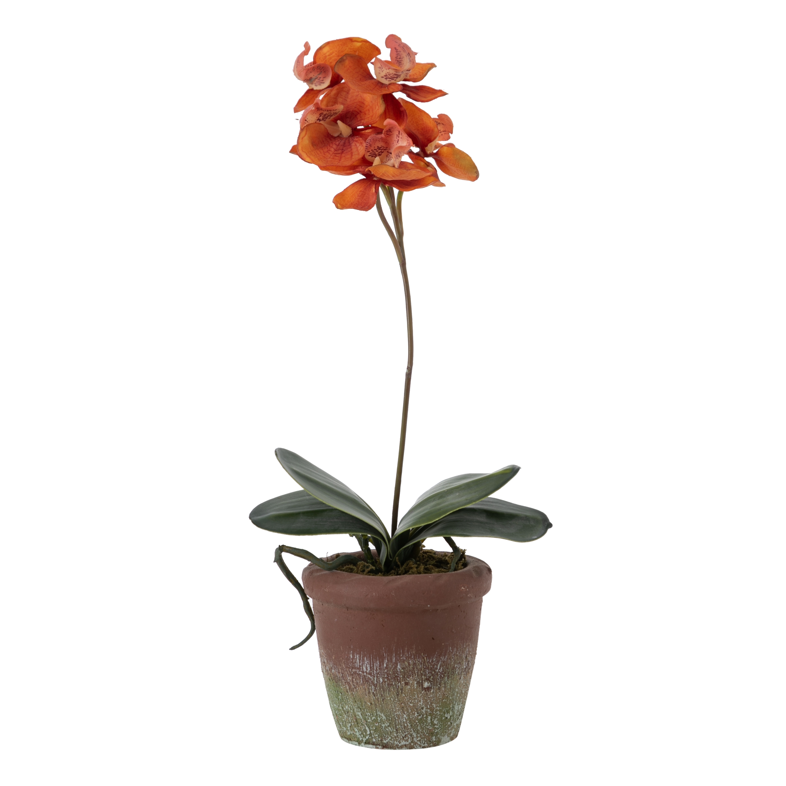 FLORA SAKSILI ORKİDE TURUNCU 41CM