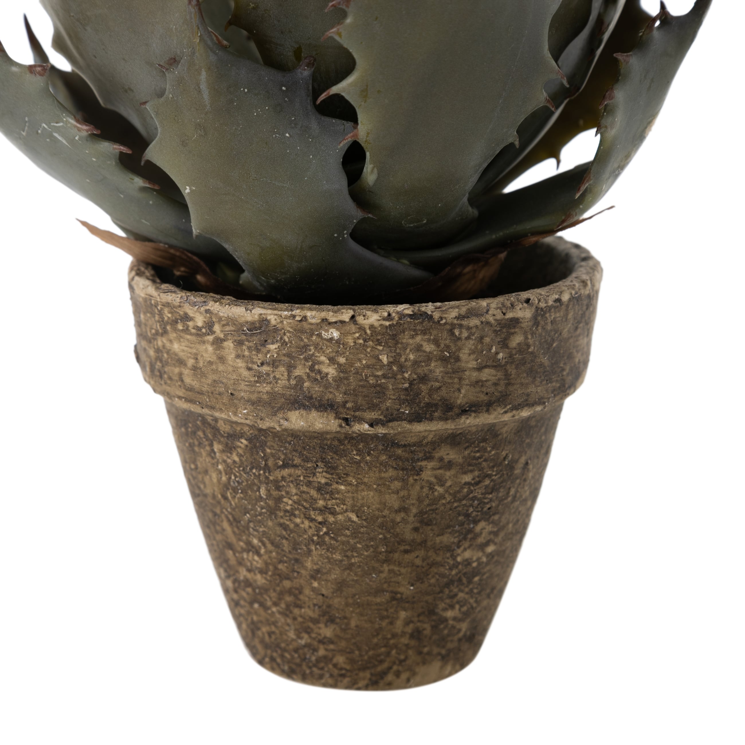 ALEO SAKSILI YAPAY BİTKİSİ 21CM