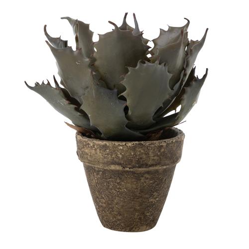  ALEO SAKSILI YAPAY BİTKİSİ 21CM