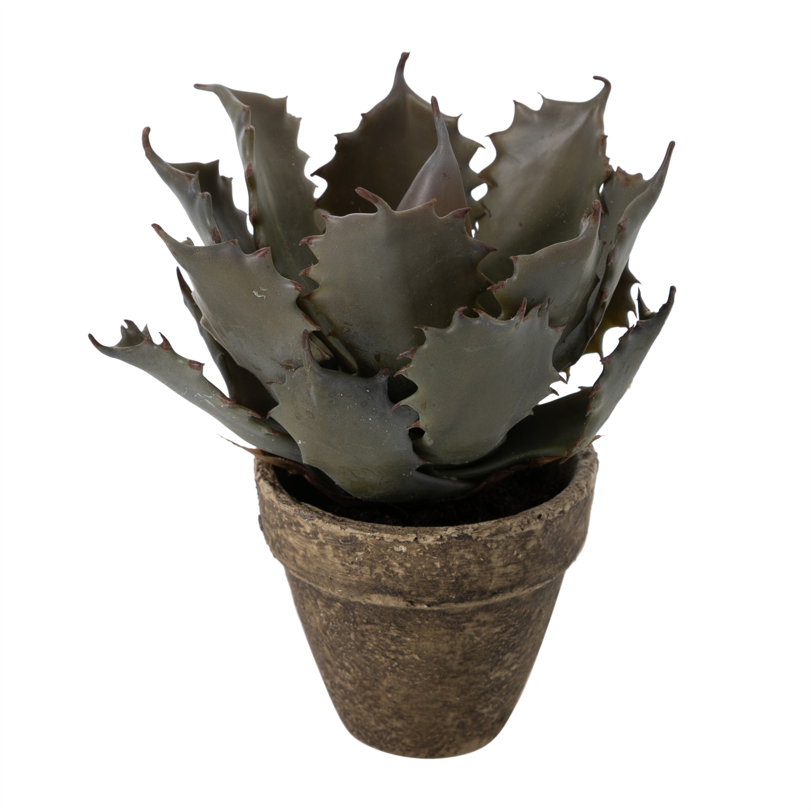 ALEO SAKSILI YAPAY BİTKİSİ 21CM