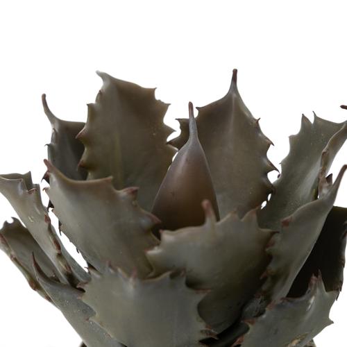  ALEO SAKSILI YAPAY BİTKİSİ 21CM