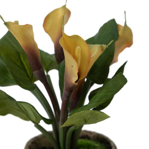  GARDEN SAKSILI GALA ÇİÇEĞİ  SARI 28CM