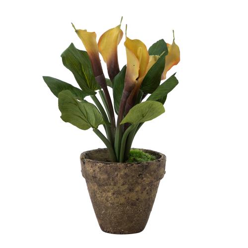  GARDEN SAKSILI GALA ÇİÇEĞİ  SARI 28CM