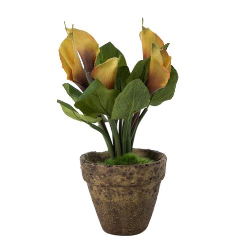  GARDEN SAKSILI GALA ÇİÇEĞİ  SARI 28CM