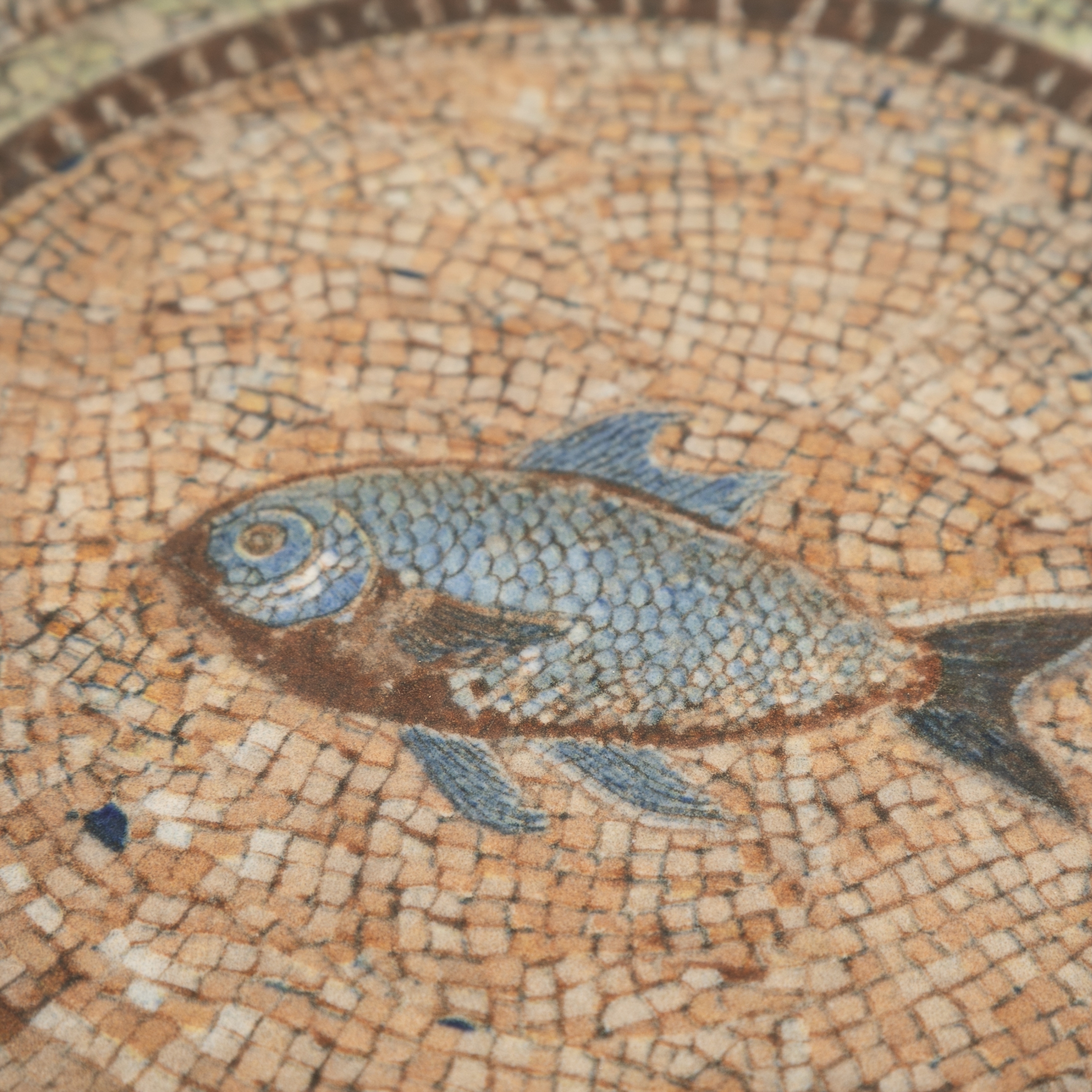 LİMA PASTA TABAĞI SETİ 21CM -6LI