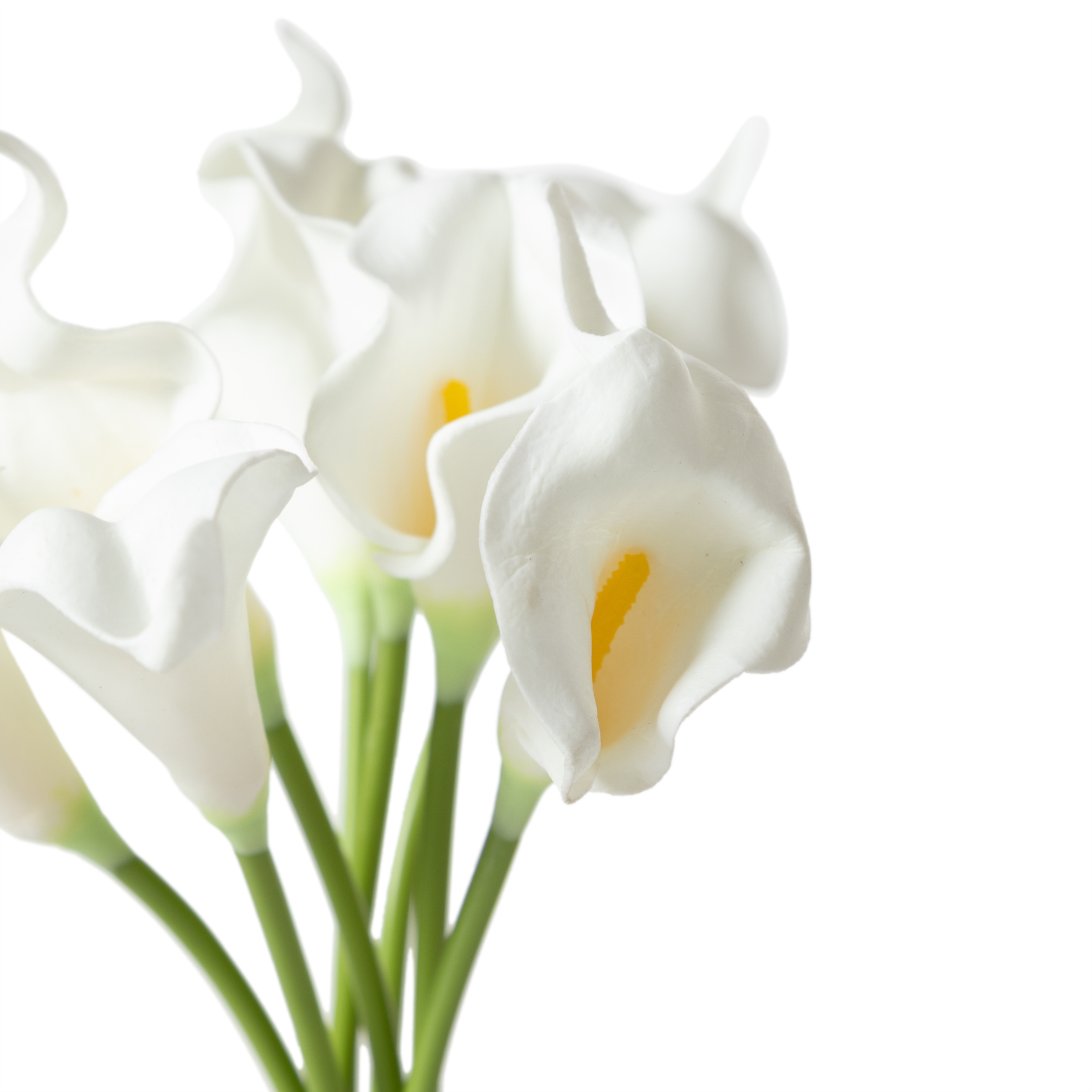 DIANE GALA ÇİÇEĞİ 20X 35 CM