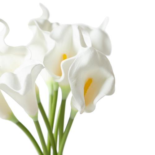  DIANE GALA ÇİÇEĞİ 20X 35 CM