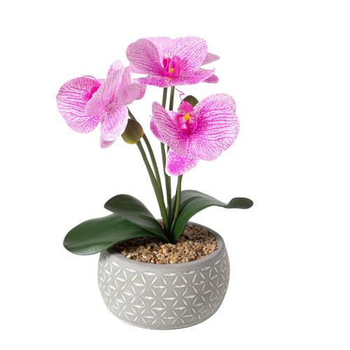 FLORA PEMBE ORKİDE 12X37CM