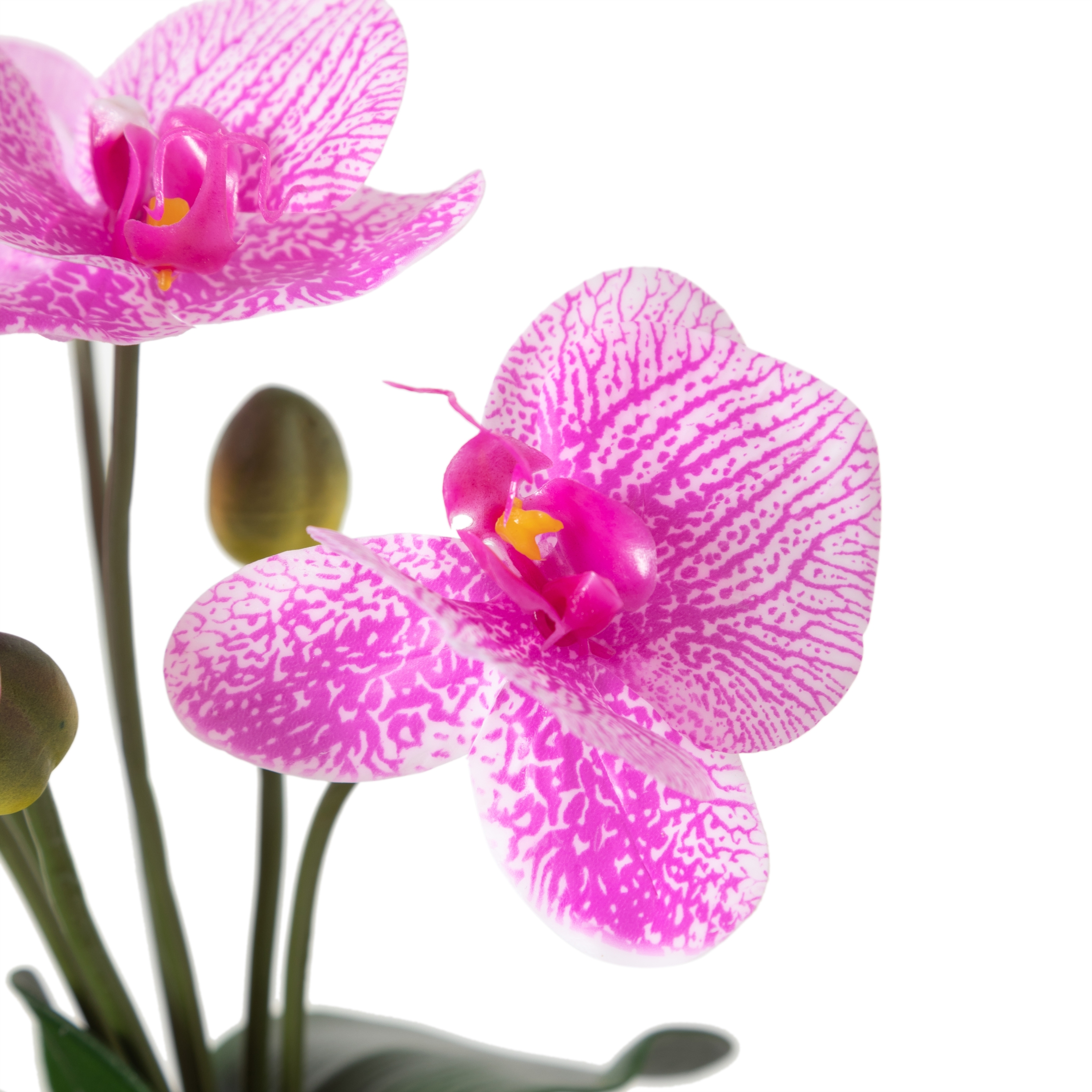 FLORA PEMBE ORKİDE 12X37CM