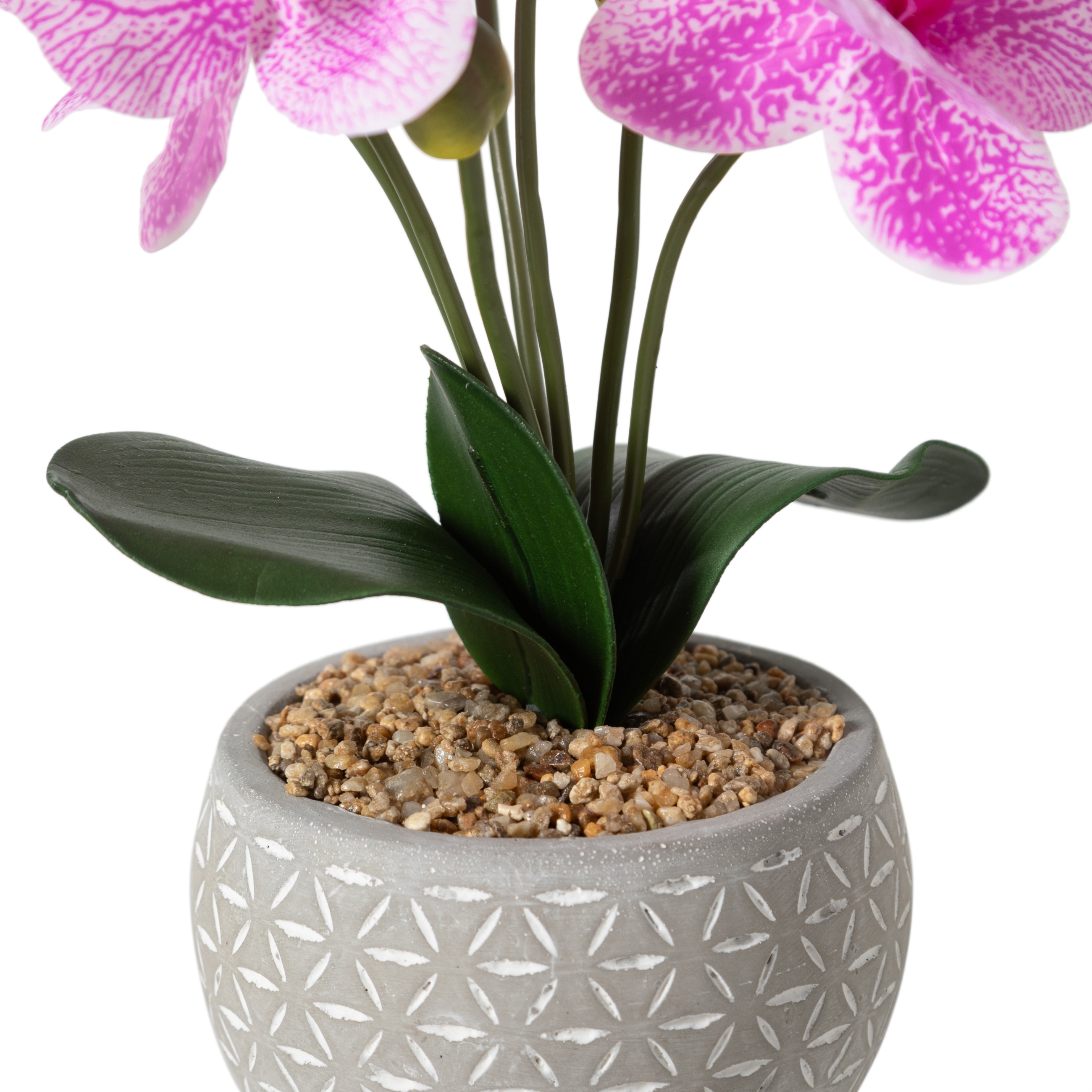 FLORA PEMBE ORKİDE 12X37CM