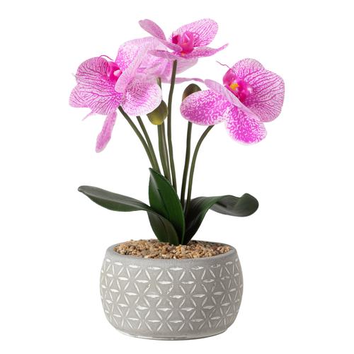  FLORA PEMBE ORKİDE 12X37CM